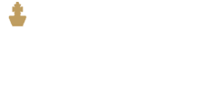 Icebo Finance